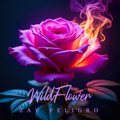 Wildflower