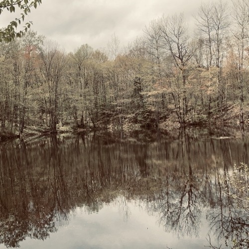 Mind of Mine (Acoustic)