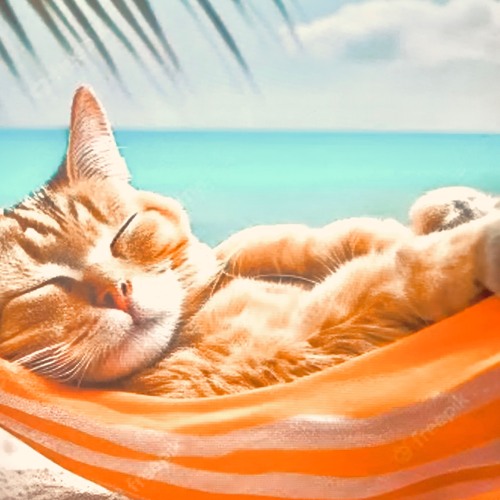 Afternoon Slumber