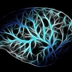 Nerve