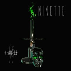 Ninette Praxis13.5 #31
