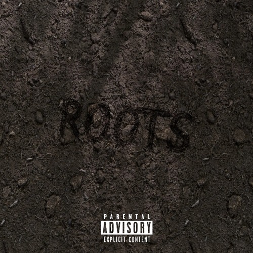 Roots (Prod. LethalNeedal)