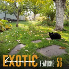 Exotic (feat. 5G)