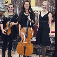 Stand By Me - Ben E. King - Violin, Cello & Harp Trio Cover
