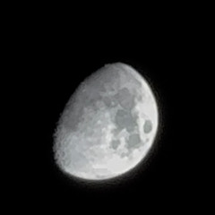 DISPENCE - MOONBEAM