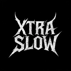 DJ ZUP RAIii - Модель Model Xtra_Slow