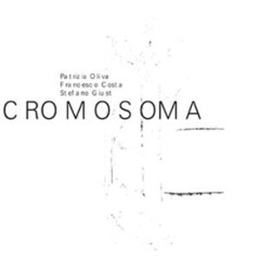 Patrizia Oliva / Francesco Costa / Stefano Giust _ Cromosoma (extract, 2025)