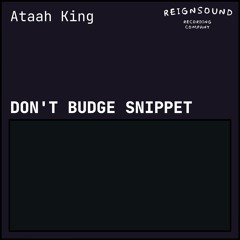 Don't Budge Snippet (2021)
