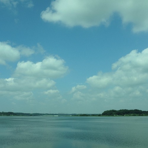 Log_20230629（demo）