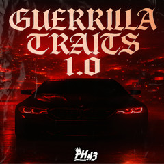 Guerrilla traits 1.0 (Official Audio)