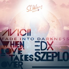 Fade Into Darkness X When Love Takes Over X Szeplo (Flipboitamidles Mashup) [SLW Edit]