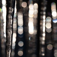 Ice Crystals