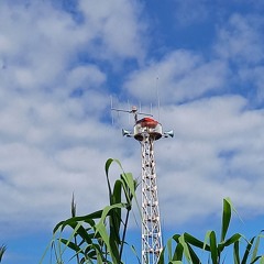 ひこうき雲が君の街まで続けばいいのに