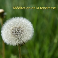 Méditation 3 🐧 Méditation De La Tendresse