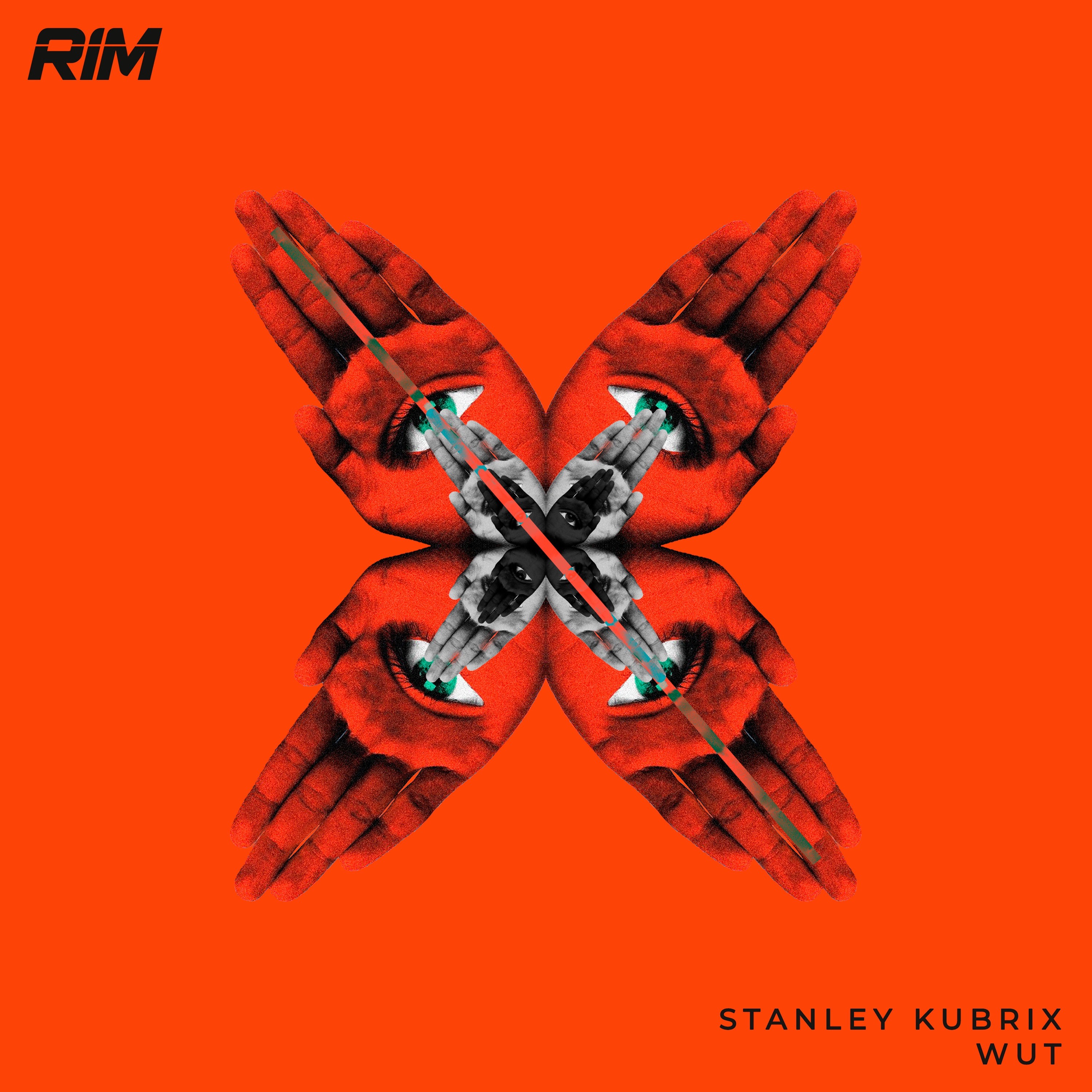 Stanley Kubrix - Wut (Original Mix) [RIM] // Tech House Premiere episode artwork