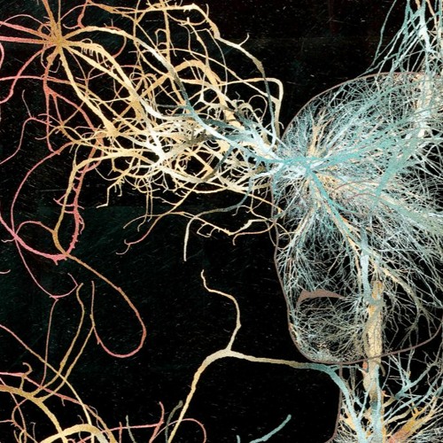 T3R0N - Neurolution (Cut)