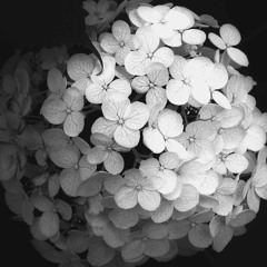 Tired And Out Of Phase