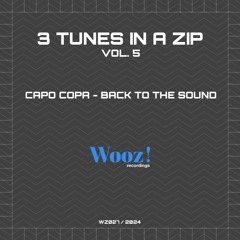 Capo Copa - Back To The Sound