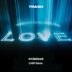 TRASH - 終究還是因為愛(CΛRP Remix)