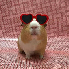 ‎⁨اغنية ابوي معاه حجر كبير الأصليه