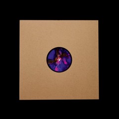 Nuances de Nuit Vol. 2 - Politics Of Dancing, Akyra, Karaba, Cosmic JD & Zenta