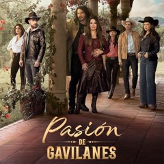 Amor Suicida Rosario Montes ft Andrés Reyes - Pasión De Gavilanes