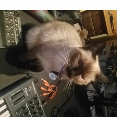 Phantom Kitten - Frustration - Remix By Consumeobeybreed