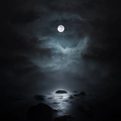 Night