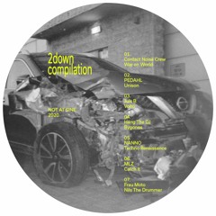 2down Various Artist Compilation [NAS002]