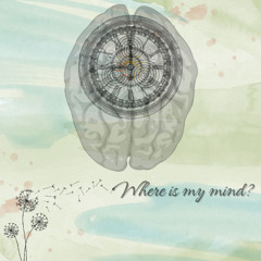 Where is my mind?