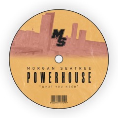 Free Download : Powerhouse - What You Need (Morgan Seatree EDIT)