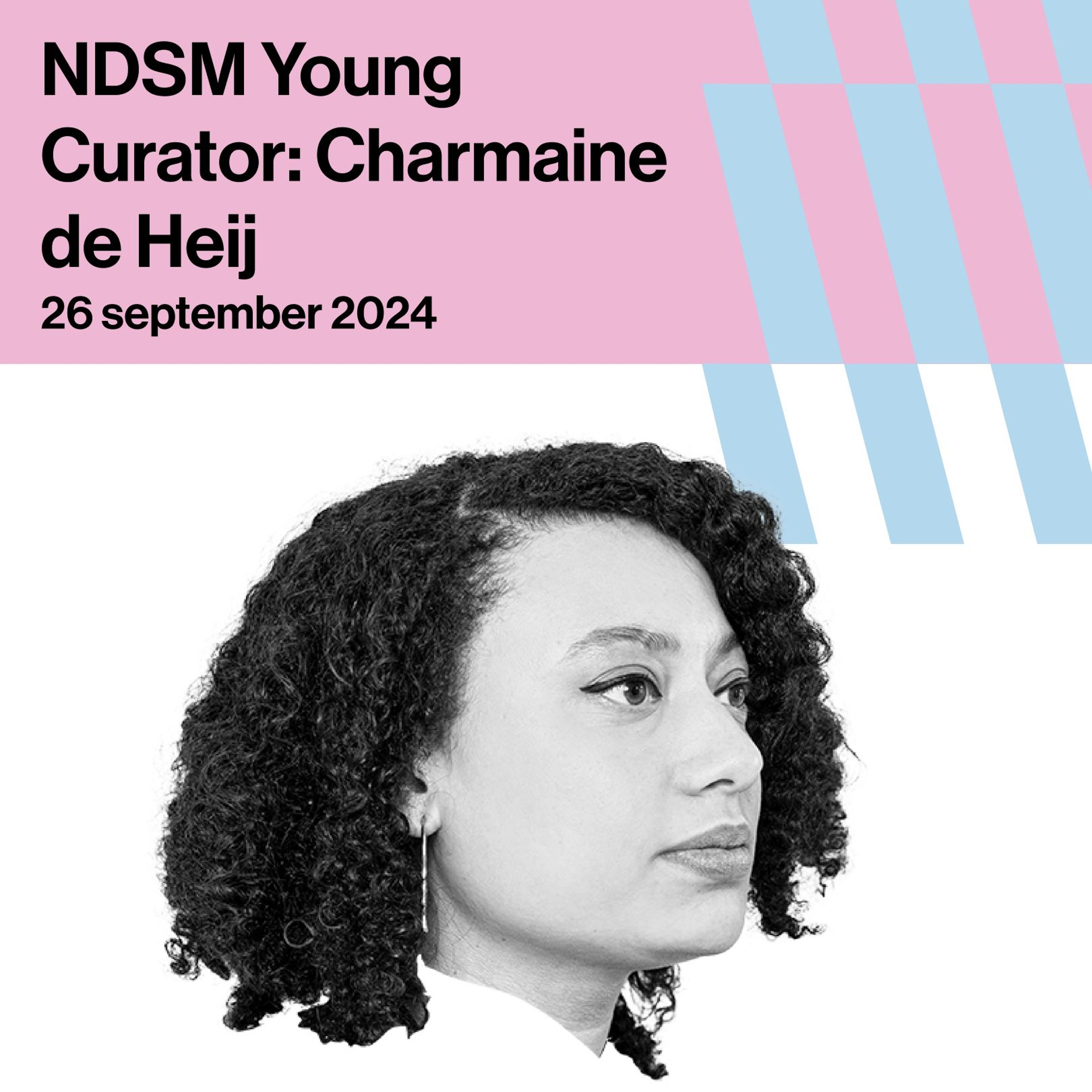 NDSM X