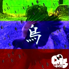 CROW ジロジロ見ないで