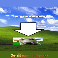 тупой баран внатуре