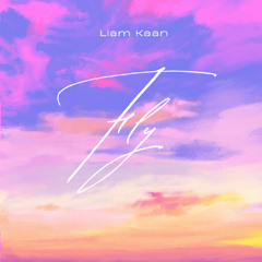 Fly (Original Mix)