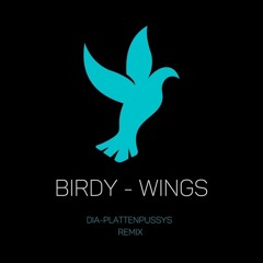 Birdy - Wings (DIA-Plattenpussys Remix)