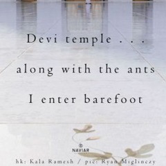 haiku #356: Devi temple . . . / along with the ants / I enter barefoot