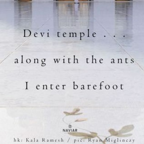 haiku #356: Devi temple . . . / along with the ants / I enter barefoot