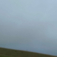 the cycle of life w/ cxdescxrpse prod splashgvng