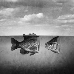 STUTTERFISH - MSTR - V1.0