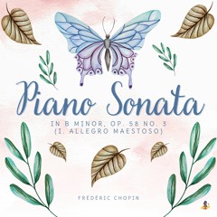 Piano Sonata in B Minor, Op. 58 No. 3 - I. Allegro Maestoso