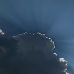 Sole Beams