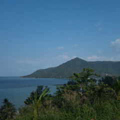 stefana - de la isla