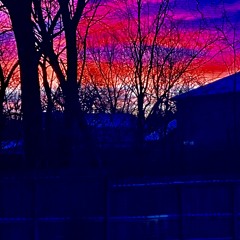 While It Burns