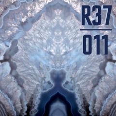 R37 Podcast 011 | SDB