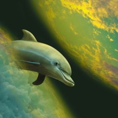 Healing Music With Dolphin Sounds