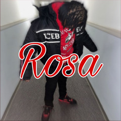 Sha Gz - Rosa (Official Audio)