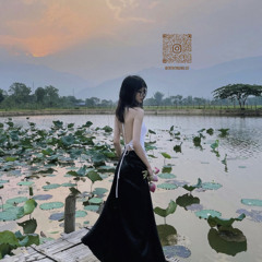 Tình Cờ Yêu Em Remix