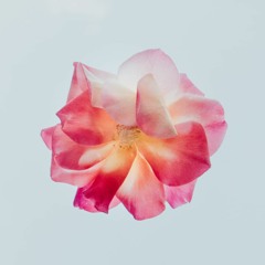 Electric Love by BØRNS - xannedaymorning (cover)