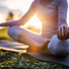 Whispers of Mindful Stillness